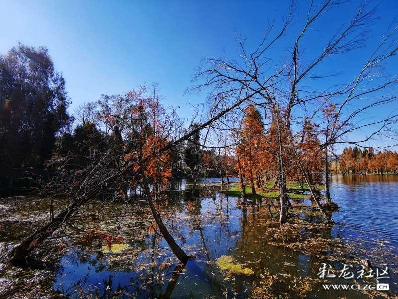 强奸杀人潜逃，多年之后终被抓，现场画面